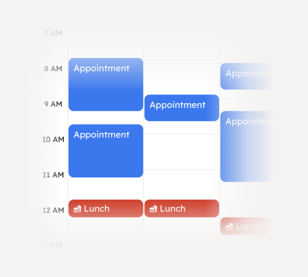 Daily schedule grid showing blue blocks labeled 'Appointment' from 8 AM to 11 AM and red blocks labeled 'Lunch' at 12 PM.